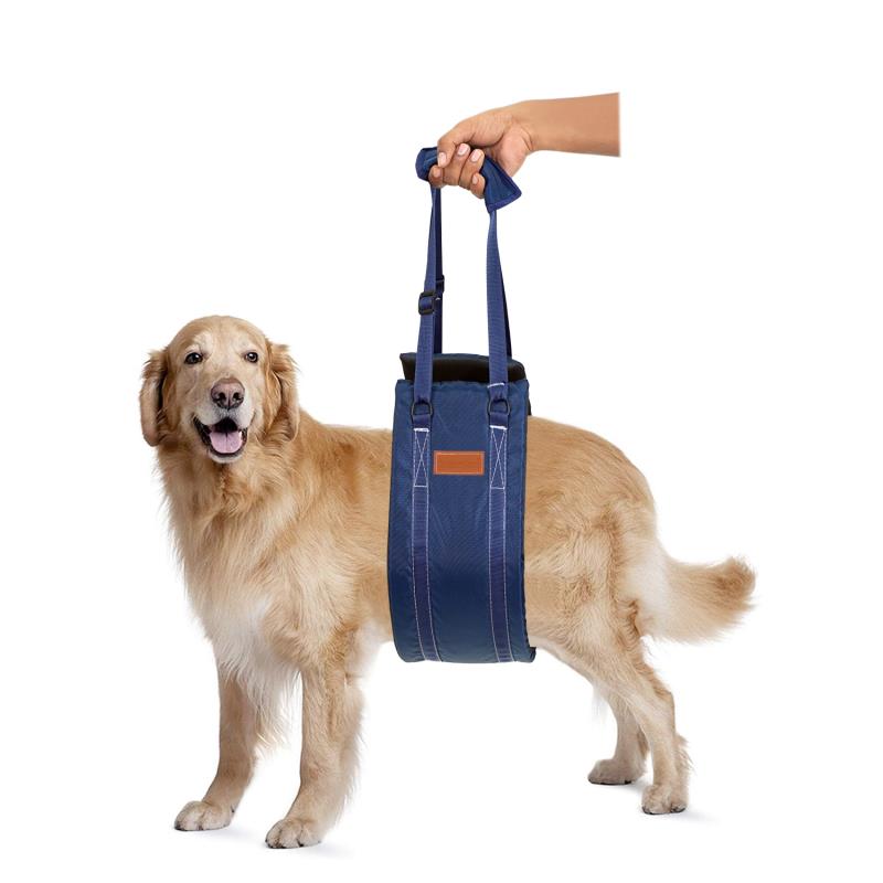 KosmoCare Dog Sling Support Rehab Harness for Weak Rear Legs RZ109 RZ111 RZ112